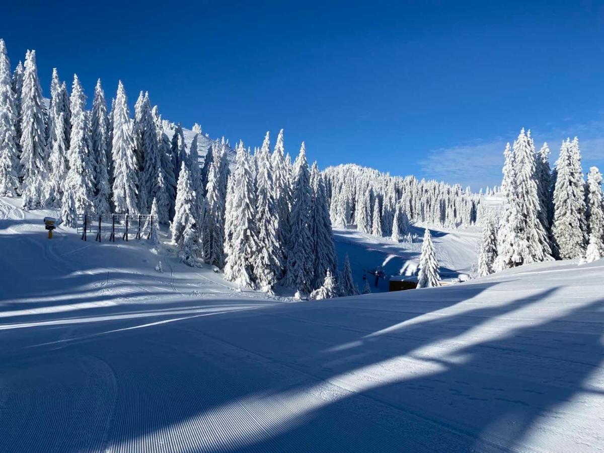 Olimpik House Jahorina Villa Kültér fotó