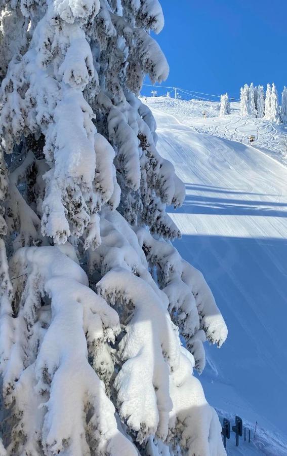Olimpik House Jahorina Villa Kültér fotó
